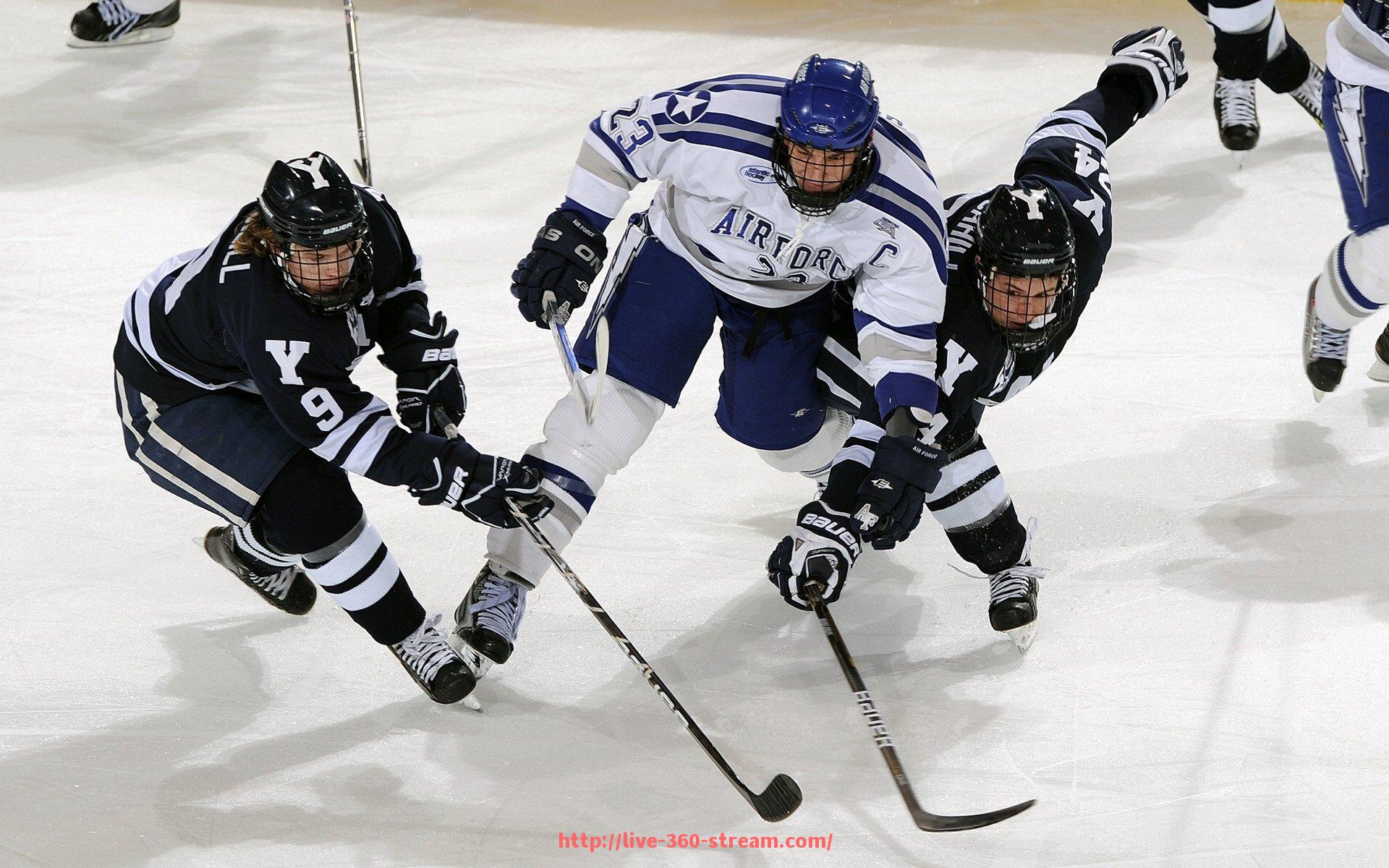 360直播-每支CBA球队一年投入多少？运营成本全面分析